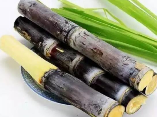 吃甘蔗的好處有哪些 補(bǔ)充糖分,清熱潤(rùn)肺,健脾利尿