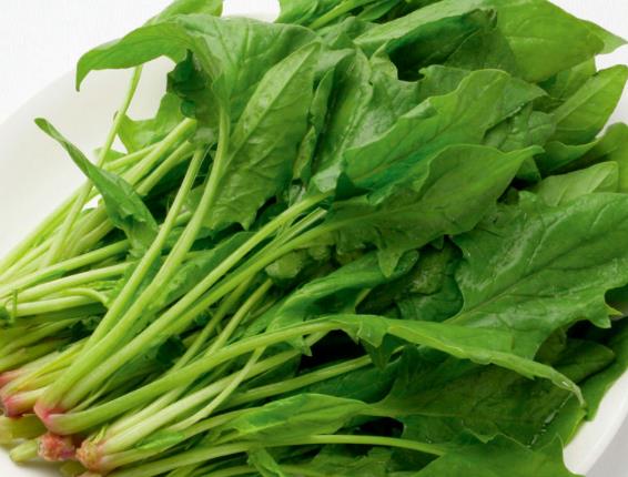 吃菠菜會(huì)得結(jié)石嗎 鞣酸草酸形成鈣結(jié)晶,忌過(guò)量