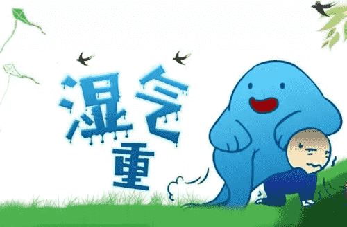 濕氣重怎么排濕最有效？