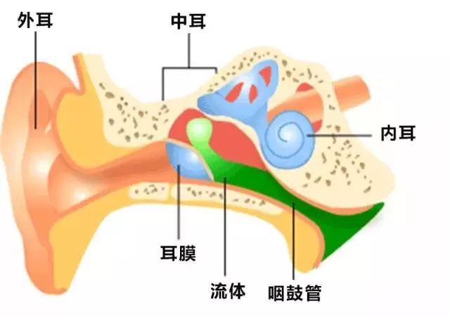哪些原因可能導致中耳炎？中耳炎有哪些危害？武漢民生耳鼻喉醫(yī)院就耳鼻喉的話題在線解答