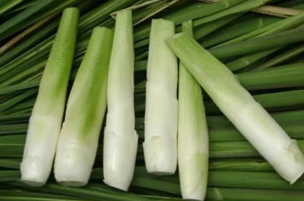 痛風能吃茭白嗎？茭白熱量高嗎？