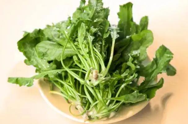 春天吃薺菜的好處有哪些？吃薺菜要注意幾點？