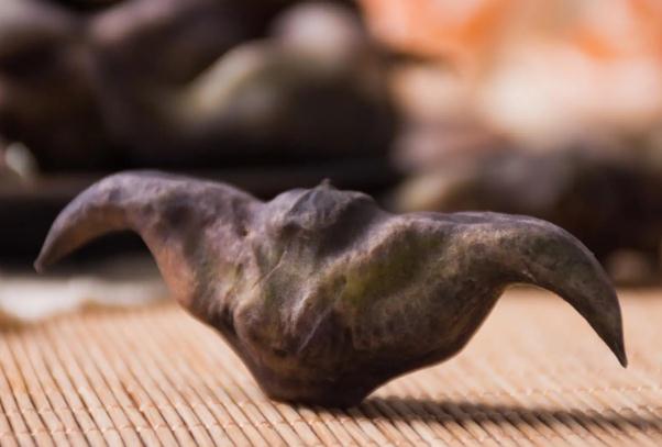 生菱角怎么保存？煮熟的菱角可以冷凍儲(chǔ)存嗎？