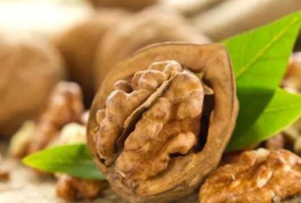 一天可以吃幾個(gè)核桃？雞蛋和核桃可以一起吃嗎？