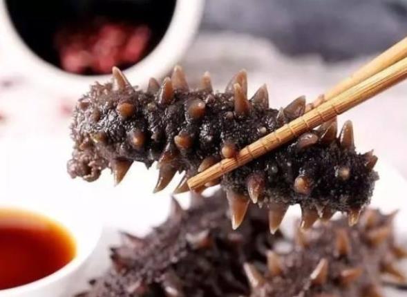 經(jīng)期可以吃海參嗎 適量吃補(bǔ)充身體所需營養(yǎng)