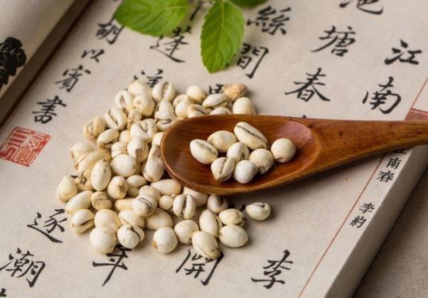 川貝蒸橙子有什么作用 清熱去火調(diào)理脾胃預(yù)防嘔吐
