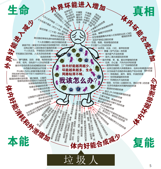  現(xiàn)代人為什么要做復(fù)能微生物組七宮重建？