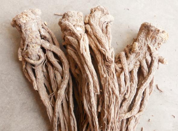 當(dāng)歸的作用和功效 活血補血調(diào)經(jīng)止痛潤燥滑腸等