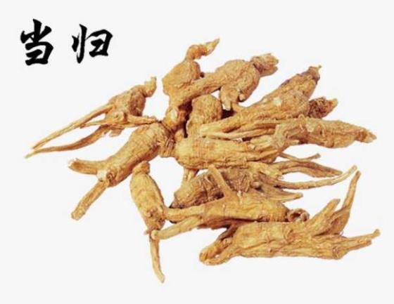 吃當歸可以美容嗎 補血活血有效抗氧化減少自由基生成