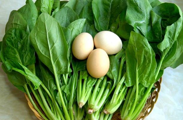菠菜怕凍嗎？菠菜種子直接撒在地里種可以嗎？