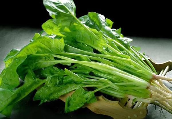 菠菜可以生吃嗎？菠菜燙多久可以吃？