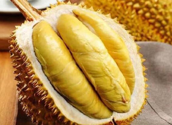 吃榴蓮對(duì)子宮卵巢好嗎 維生素刺激體內(nèi)雌性激素