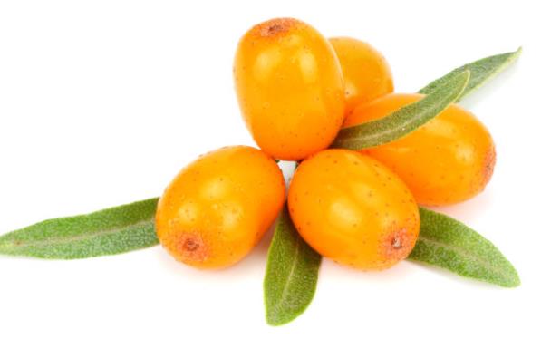 吃沙棘果會(huì)上火嗎 溫性,過量增加燥熱之氣