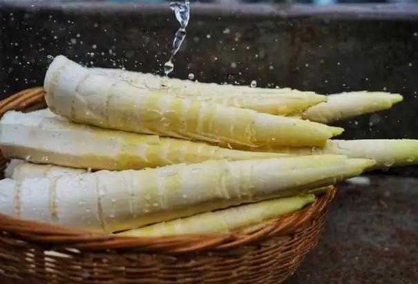 北方竹筍能吃嗎？新鮮竹筍泡了三天還能吃嗎？