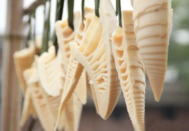 干竹筍怎么做好吃？竹筍和白果怎么燉好吃？