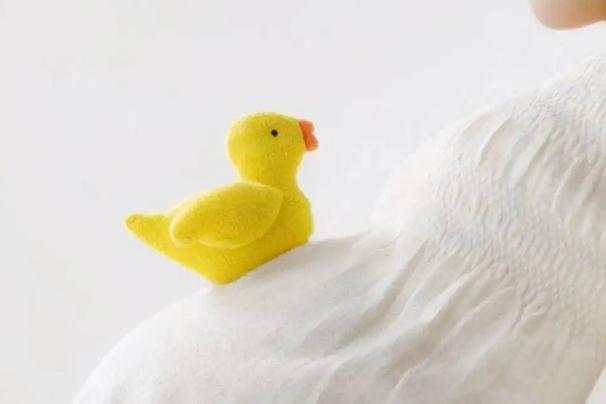 孕婦能吃紅毛丹嗎？孕婦可以吃蔓越莓嗎？