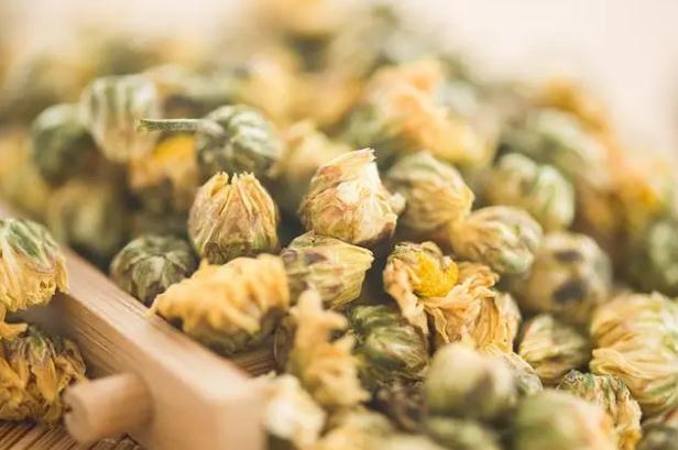 喝菊花茶有什么好處？菊花茶去火嗎？