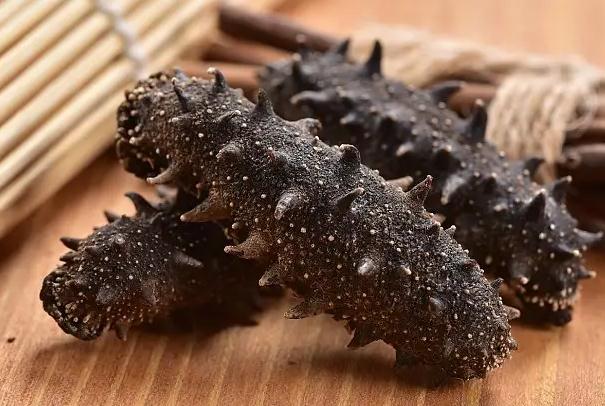 海參怎么分辨野生和養(yǎng)殖？烏參和海參的區(qū)別是什么？