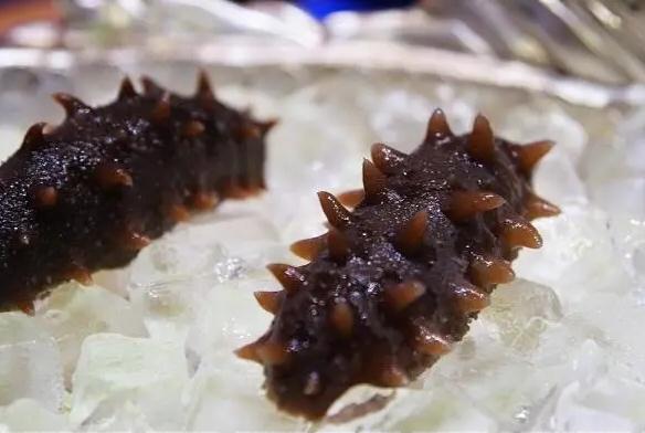 即食海參和干海參哪個(gè)好？減肥的人能吃海參嗎？