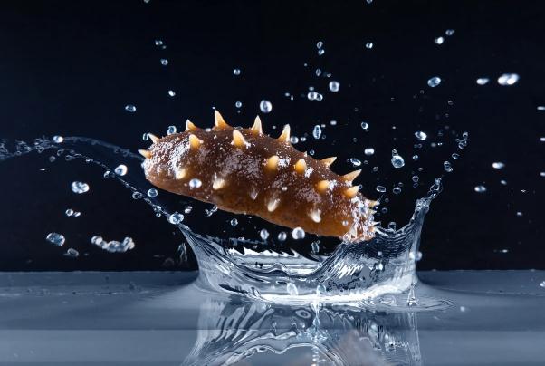 秋季吃海參的好處有哪些？海參是發(fā)物嗎？