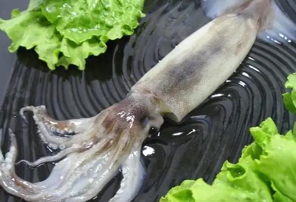 干魷魚發(fā)霉了洗干凈還能吃嗎？吃魷魚的壞處有哪些？