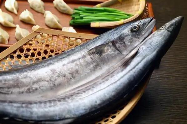 鲅魚能給老人吃嗎？鲅魚給孕婦吃的好處是什么？