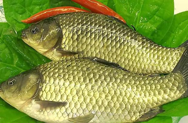 清蒸鯽魚(yú)要蒸幾分鐘？鯽魚(yú)籽可以吃嗎？
