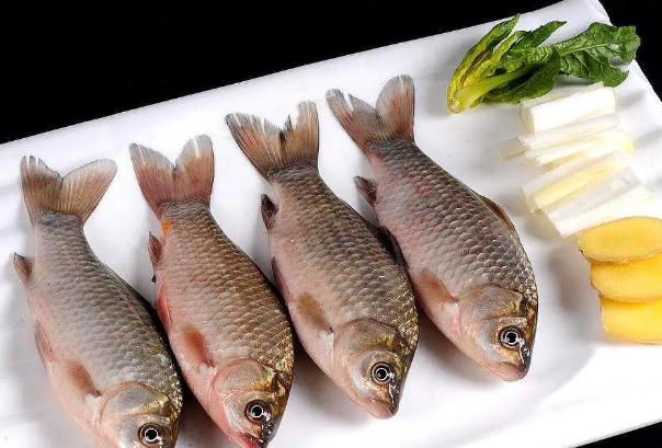 鯽魚湯苦是怎么回事？天天吃鯽魚的壞處有哪些？