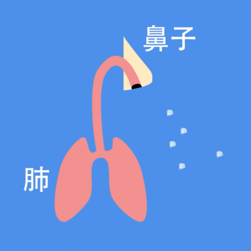 沈陽燕都醫(yī)院提醒“陽康”了別大意！防二次感染關(guān)鍵在鼻子