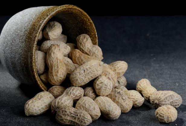 煮花生放什么佐料？花生煮多久能熟又入味？