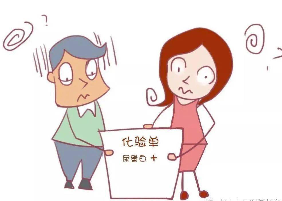  成都中德腎病醫(yī)院：尿蛋白是什么，尿蛋白為什么會損傷腎臟？