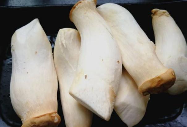 杏鮑菇不焯水有毒嗎？杏鮑菇炒多久會(huì)熟？