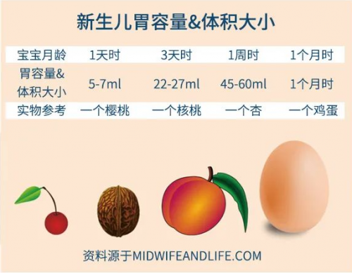 取代單菌株！6年全球第一，康萃樂BB12+ LGG益生菌滴劑
