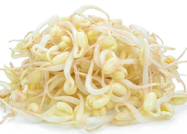 豆芽的熱量是多少 44千卡/100克,蛋白質(zhì)1.5克脂肪2克