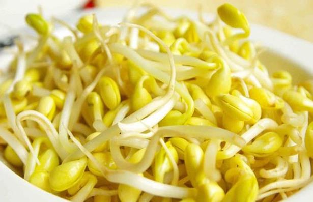 吃豆芽惡心想吐怎么辦 停止進食去醫(yī)院就診
