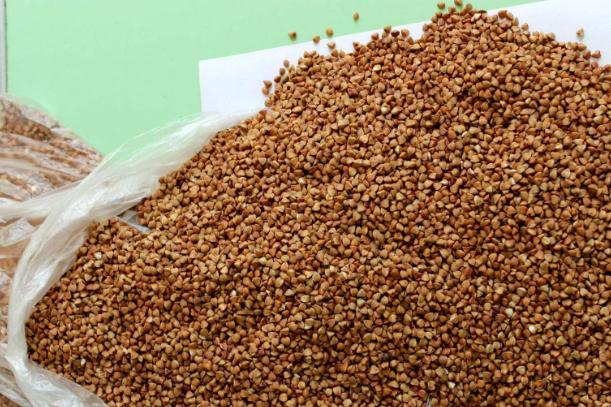 蕎麥殼枕頭會(huì)不會(huì)生蟲(chóng)？蕎麥皮怎么清洗去螨蟲(chóng)？