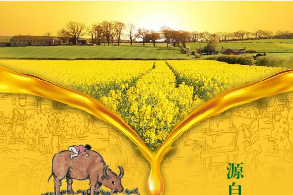 菜籽油可以炸東西嗎？菜籽油是植物油嗎？