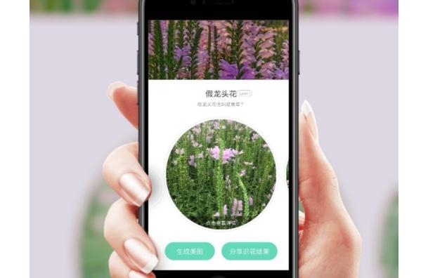 拍照識(shí)別植物的軟件有哪些？開發(fā)植物識(shí)別APP有何用途？
