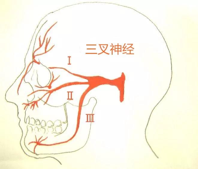北京廣濟醫(yī)院怎么樣，三叉神經(jīng)痛會導(dǎo)致耳鳴嗎？