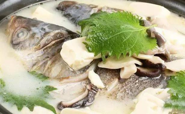 糖尿病人可以喝魚(yú)頭豆腐湯嗎 哪些人不能喝魚(yú)頭豆腐湯