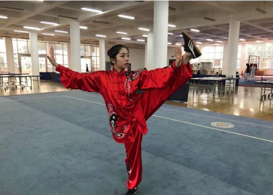 武術(shù)和跆拳道練習(xí)哪個(gè)好？武術(shù)有包括在藝術(shù)特長(zhǎng)生里嗎？