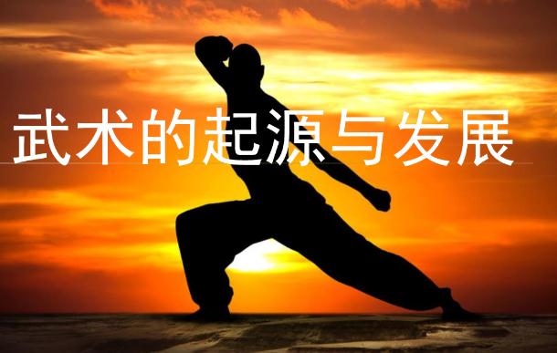 武術(shù)的發(fā)展和起源是怎么來的？武術(shù)可以鍛煉孩子什么？