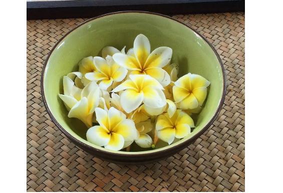雞蛋花有什么食用方式？干雞蛋花茶怎么做？