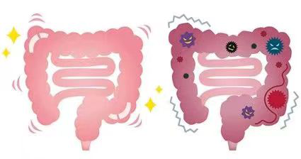 呼和浩特東大肛腸醫(yī)院 放了這種味道的屁，不僅有腥臭味竟還和腸癌有關(guān)！