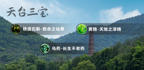 濟公緣，健康源：育苗生產(chǎn)可溯源，20年專注一顆國草