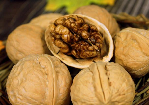 核桃是堿性食物嗎 堅(jiān)果類(lèi)堿性胡桃科植物