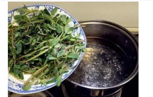 馬齒莧怎么煮治痱子？桃葉浴怎么泡治療痱子？