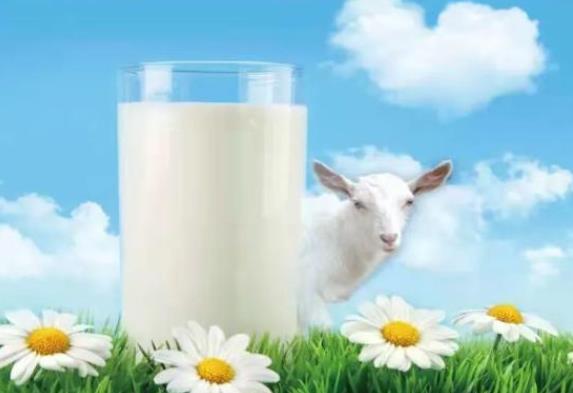 喝羊奶能美白嗎 超氧化物歧化酶核酸促進(jìn)代謝
