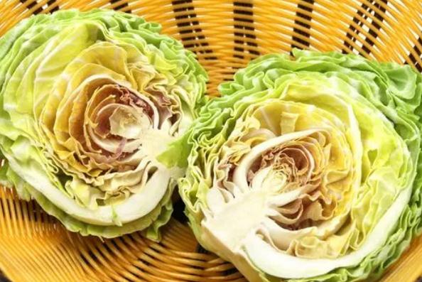 牛心菜是寒性還是熱性？牛心菜是甘藍嗎？
