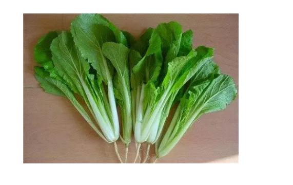 小白菜可以生吃嗎？小白菜是涼性的嗎？